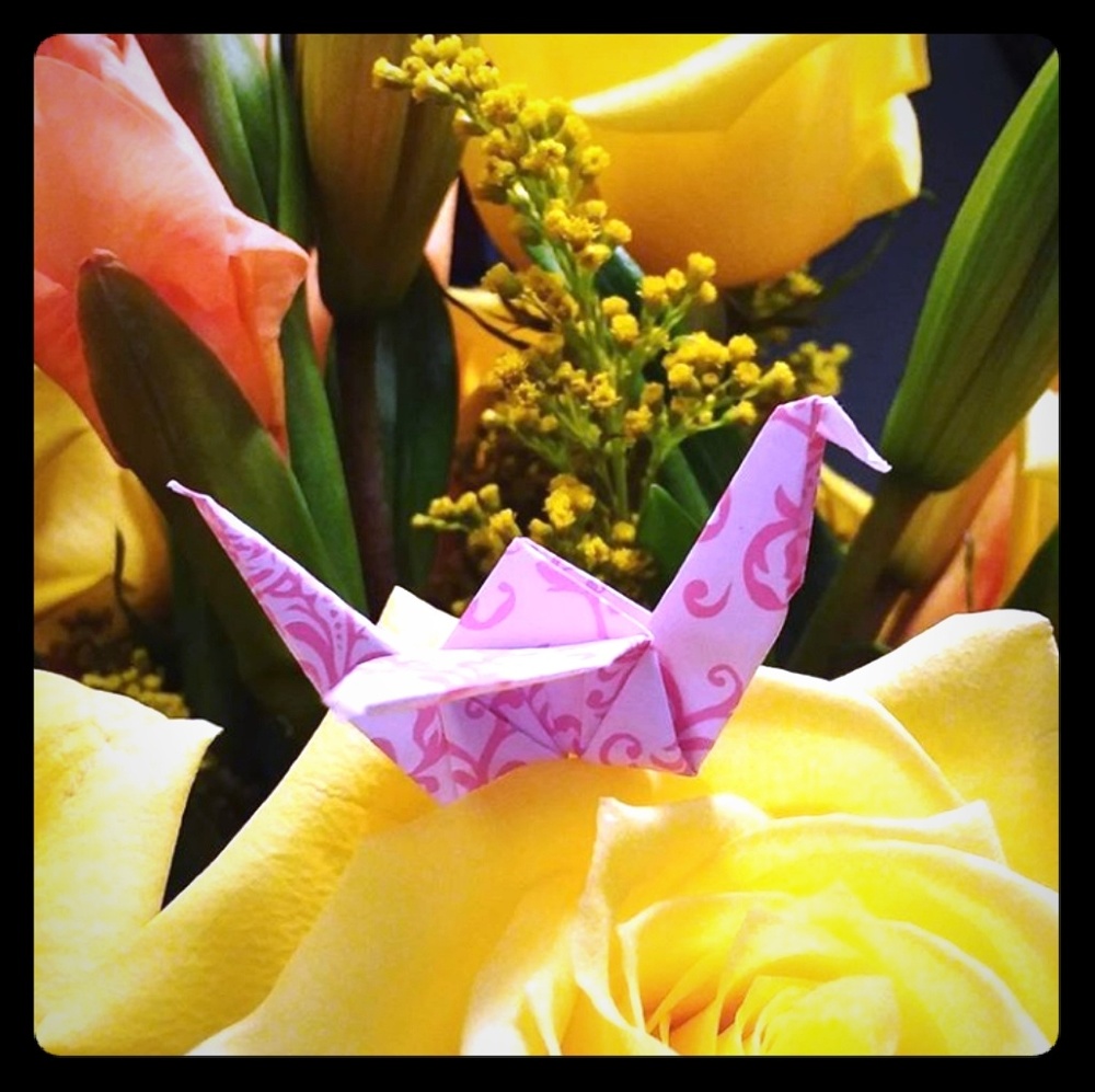 Complimentary Origami